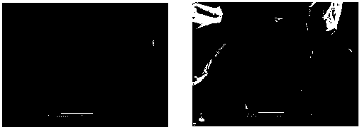 Method for preparing flame retardant epoxy resin from modified graphene