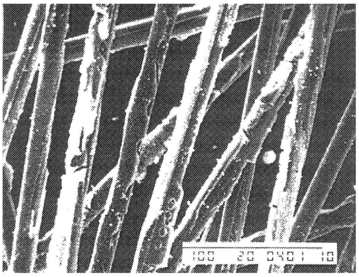 Titania fiber, method for producing the fiber and method for using the fiber