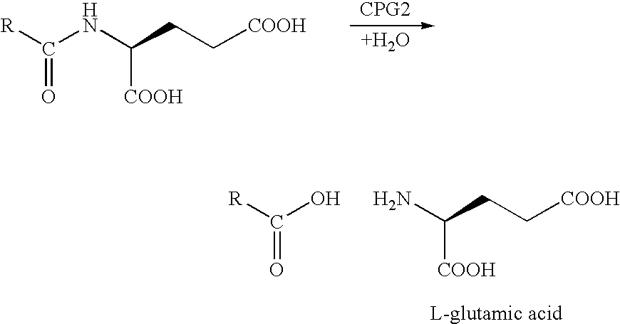 Enzyme activated self-immolative n-substituted nitrogen mustard prodrugs