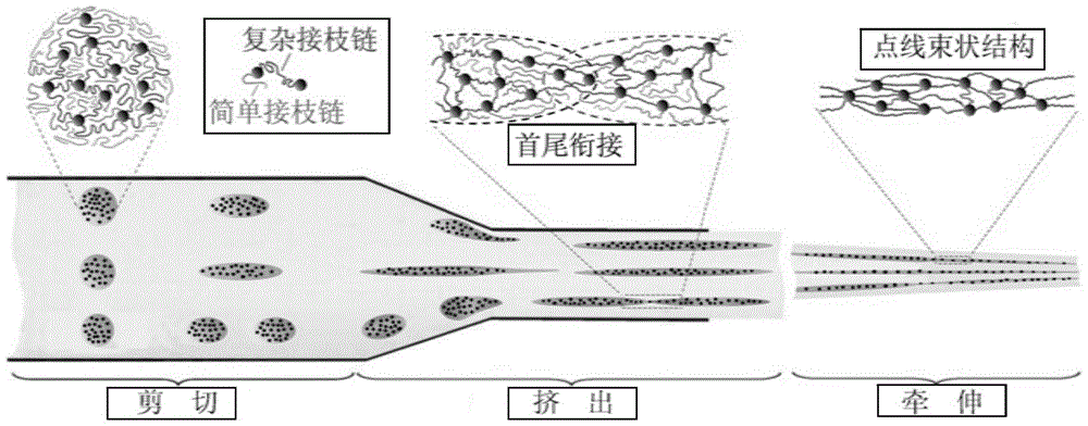 a grafted sio  <sub>2</sub> Preparation method of particle cluster orientation reinforced polyester fiber