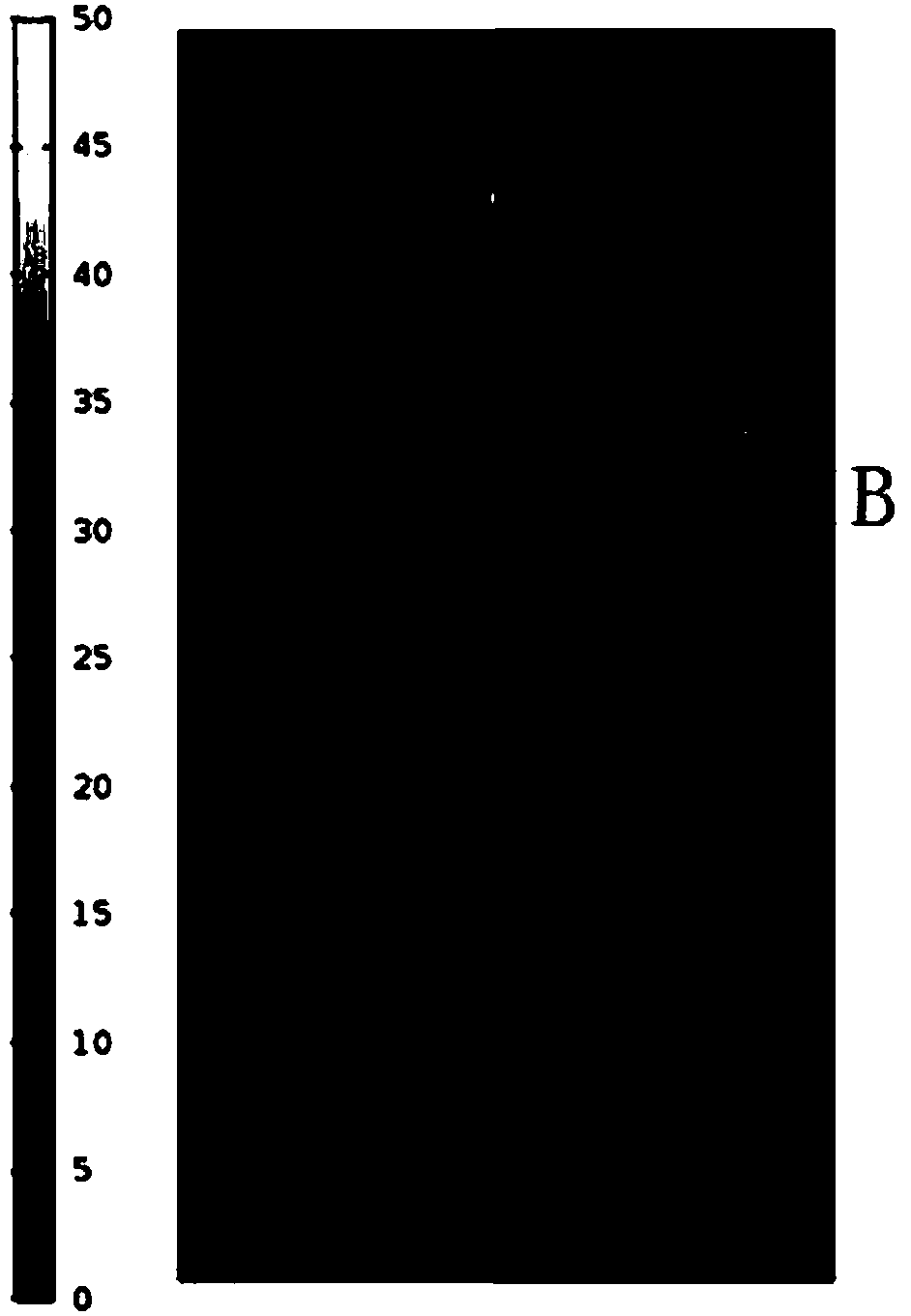 Field local enhancement device based on hybid plasmonic waveguides