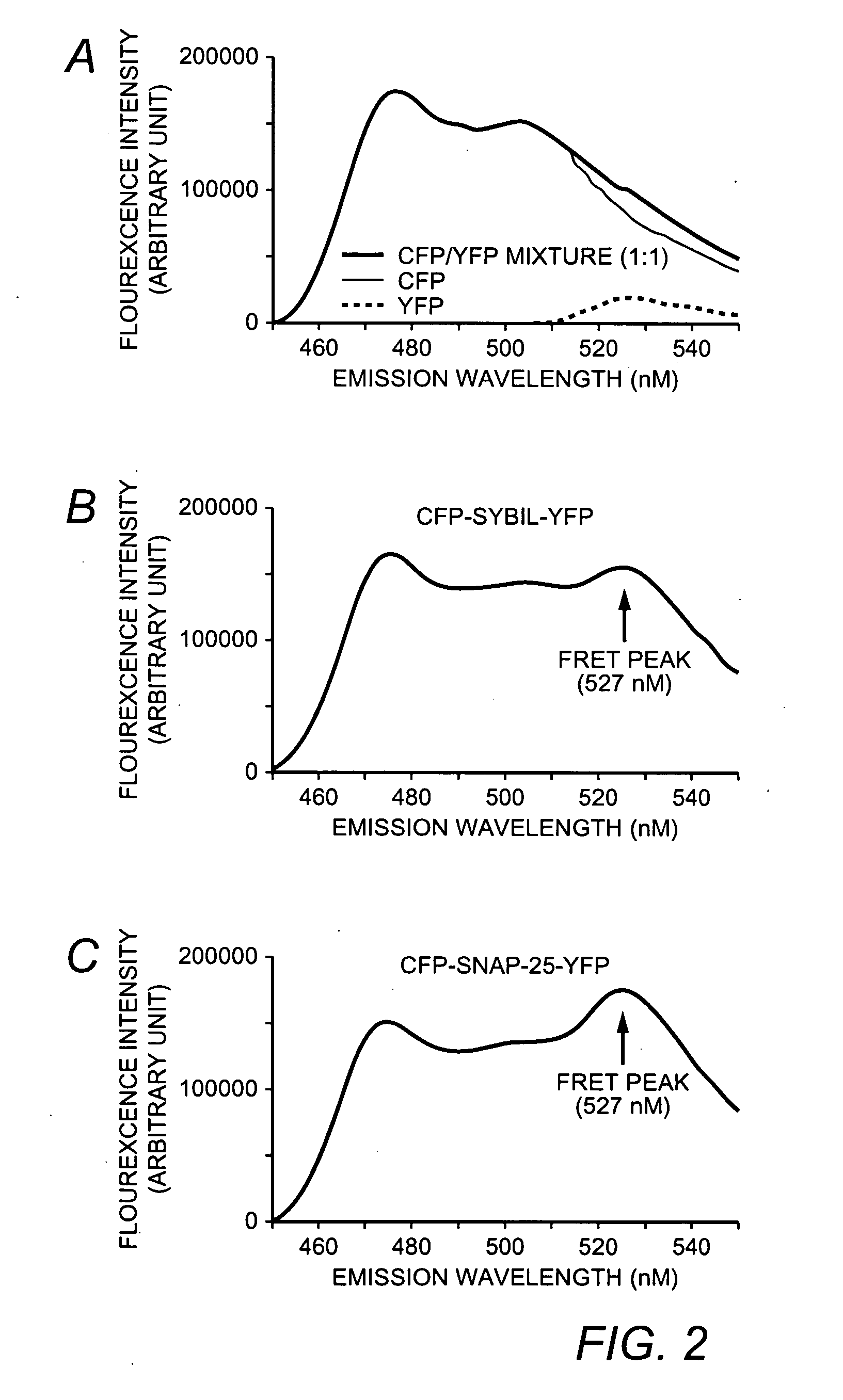 Resonance Energy Transfer Assay with Cleavage Sequence and Spacer