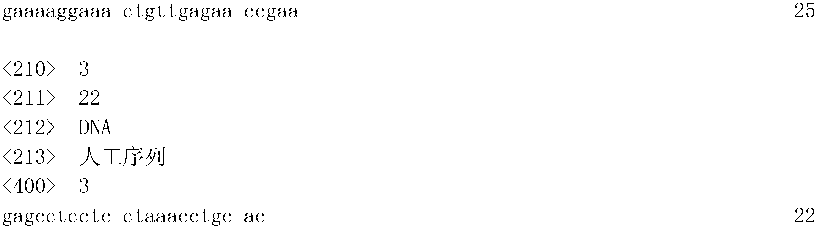 SNP (Single Nucleotide Polymorphism) marker related to human severe influenza in IFITM3-rs12252 gene and application thereof