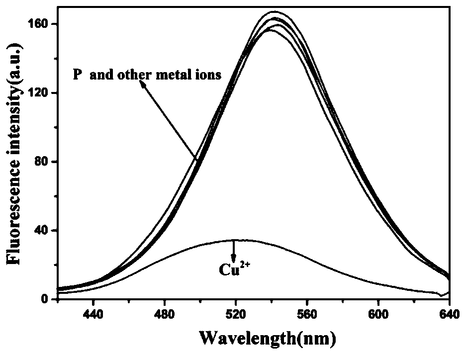 A Peptide Fluorescent Probe Specifically Binding to Copper Ion and Cysteine