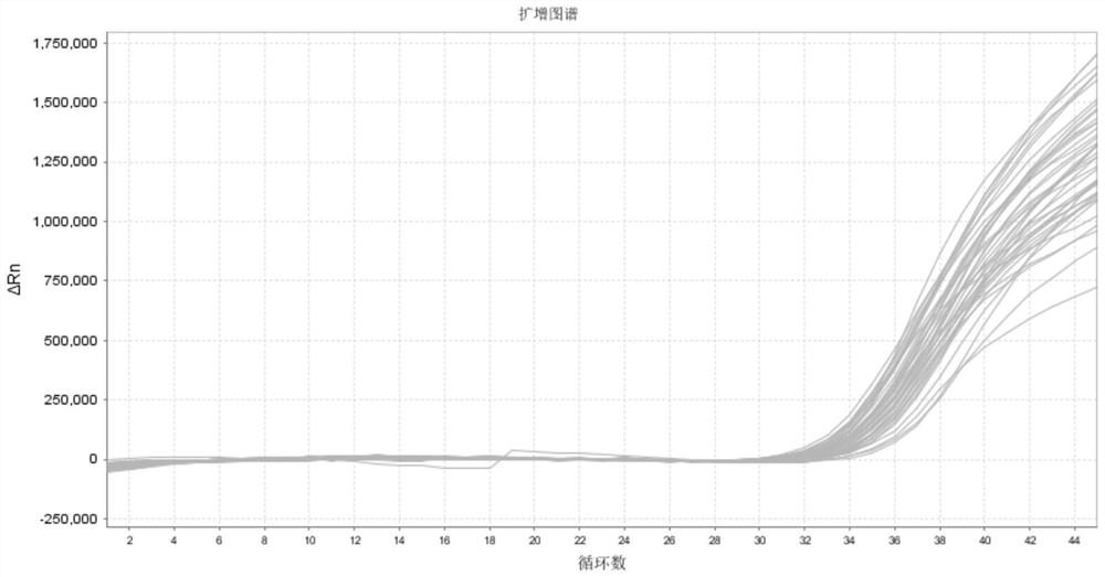 Norovirus nucleic acid detection kit and use method thereof