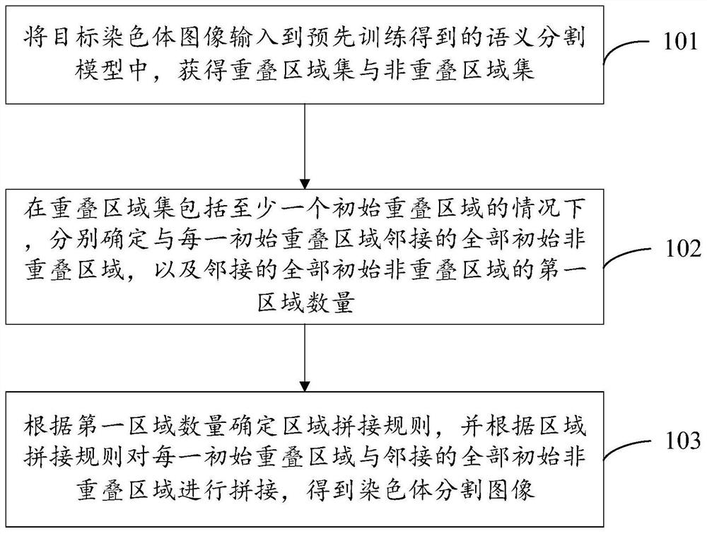 Chromosome segmentation method and device