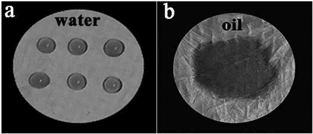 Aperture-controllable CS/PLA oil-water separating nanometer fiber film and preparation method thereof