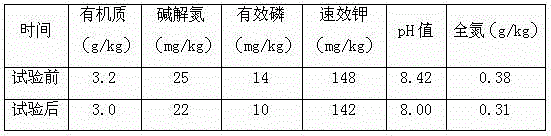 Urea-ammonium nitrate water-soluble fertilizer and preparation method thereof