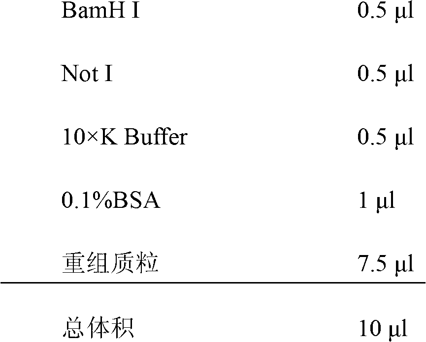 Methicillin-resistant staphylococcus aureus (MRSA) vaccine recombinant protein antigen HI2 and preparation method and application thereof