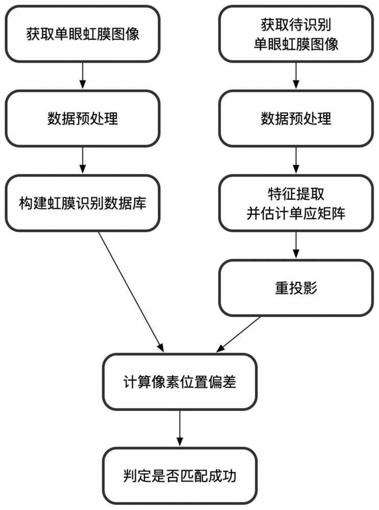 Monocular iris matching method based on feature point reprojection