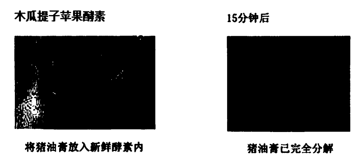 Preparation method for pawpaw grape apple enzyme