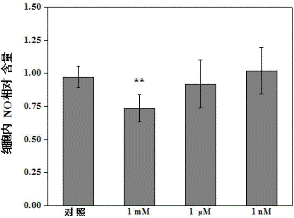 Heavy metal copper cytotoxicity detection method based on nitric oxide synthase NOS