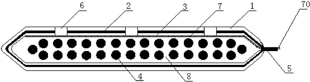 Grape preservative packaging bag and manufacturing method thereof