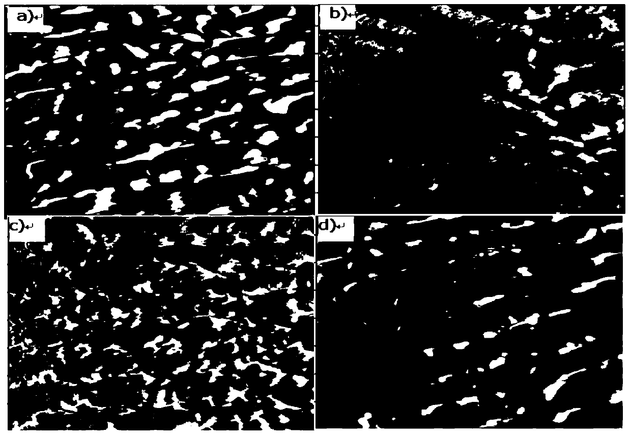 A kind of preparation method of ni50mn34in12co4 alloy film with high flatness