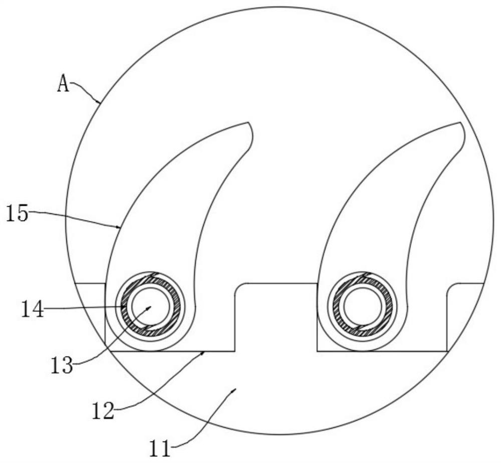 An output type automatic measuring instrument for fruit and seed morphology of camphor tree