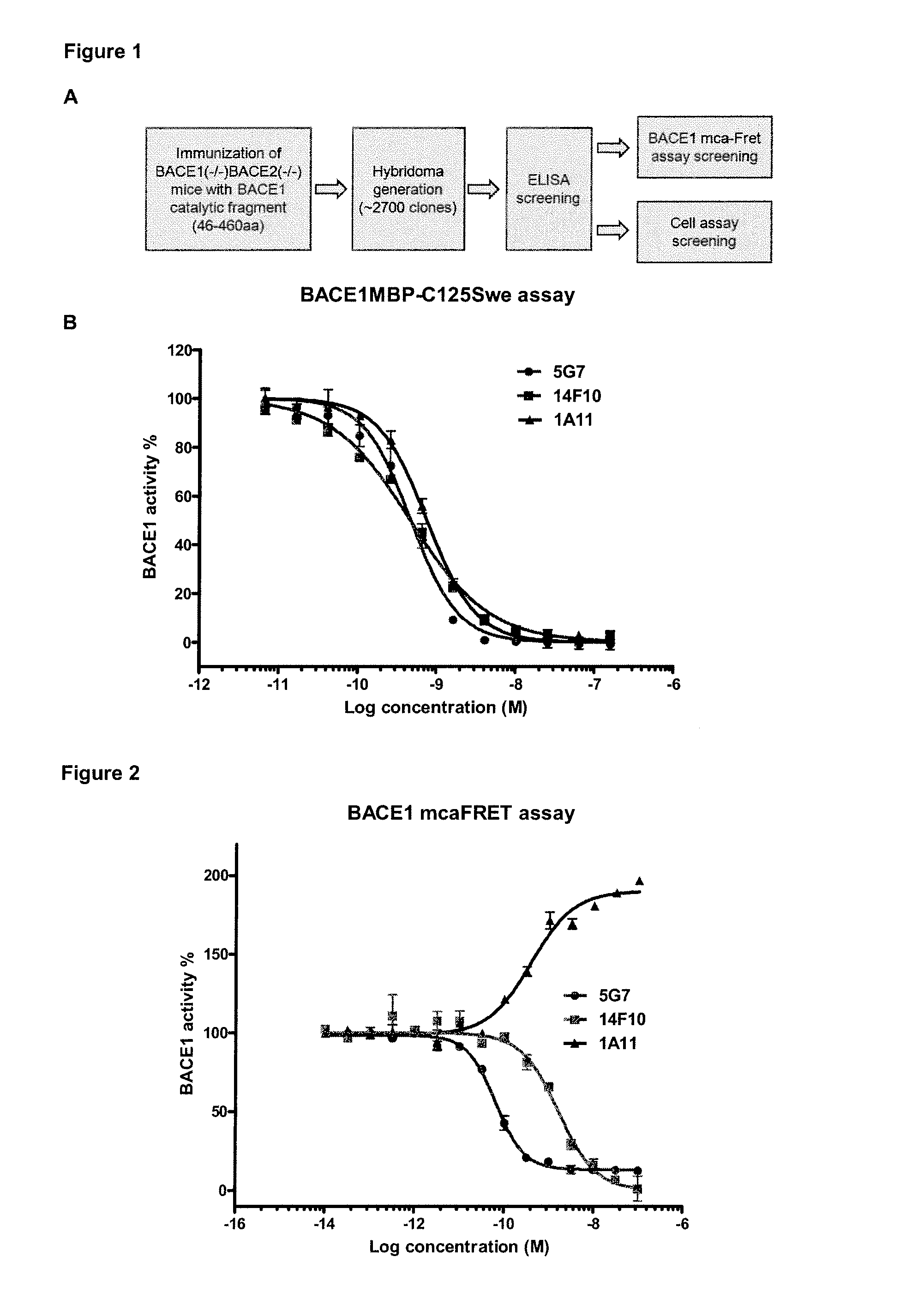 Bace1 inhibitory antibodies