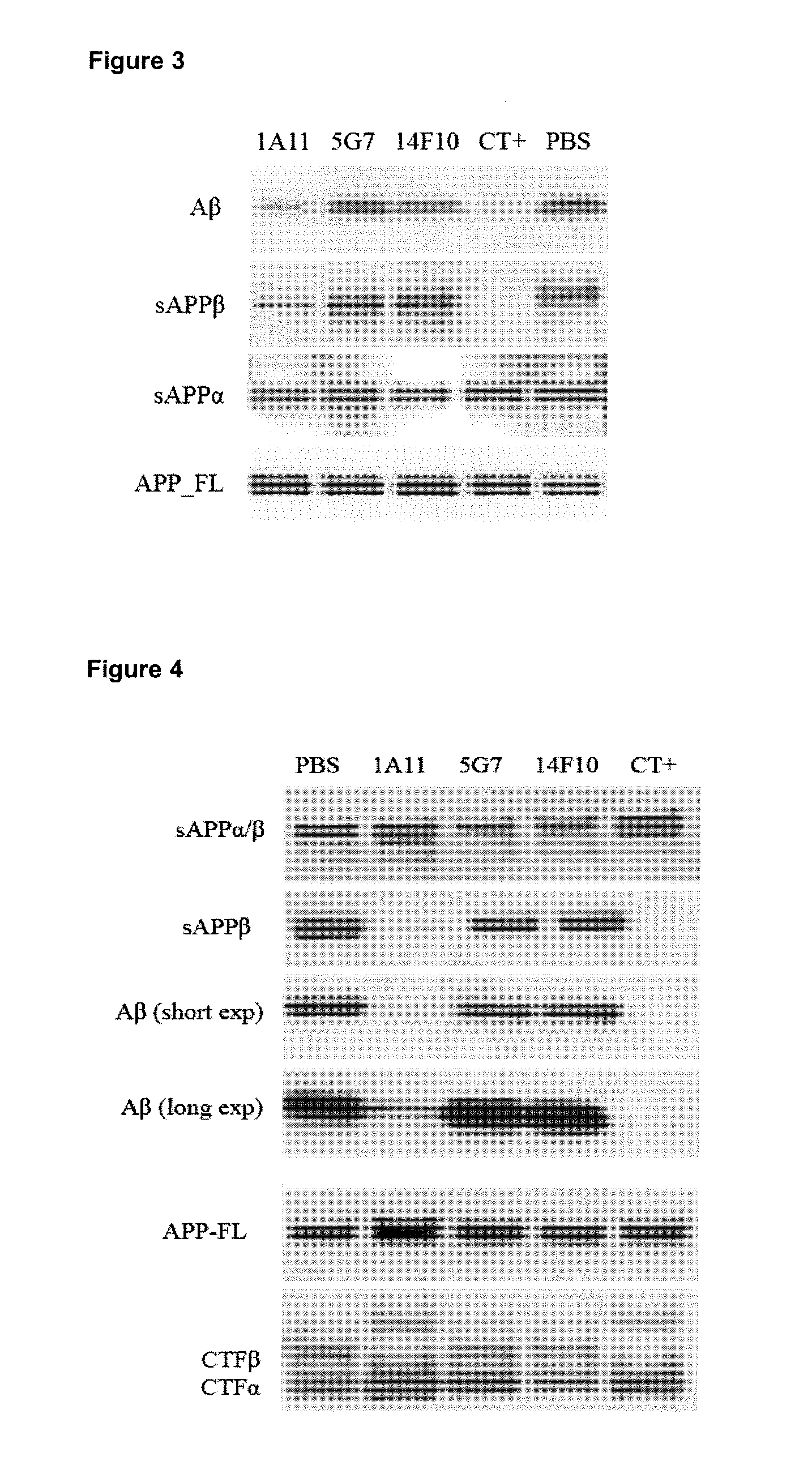 Bace1 inhibitory antibodies