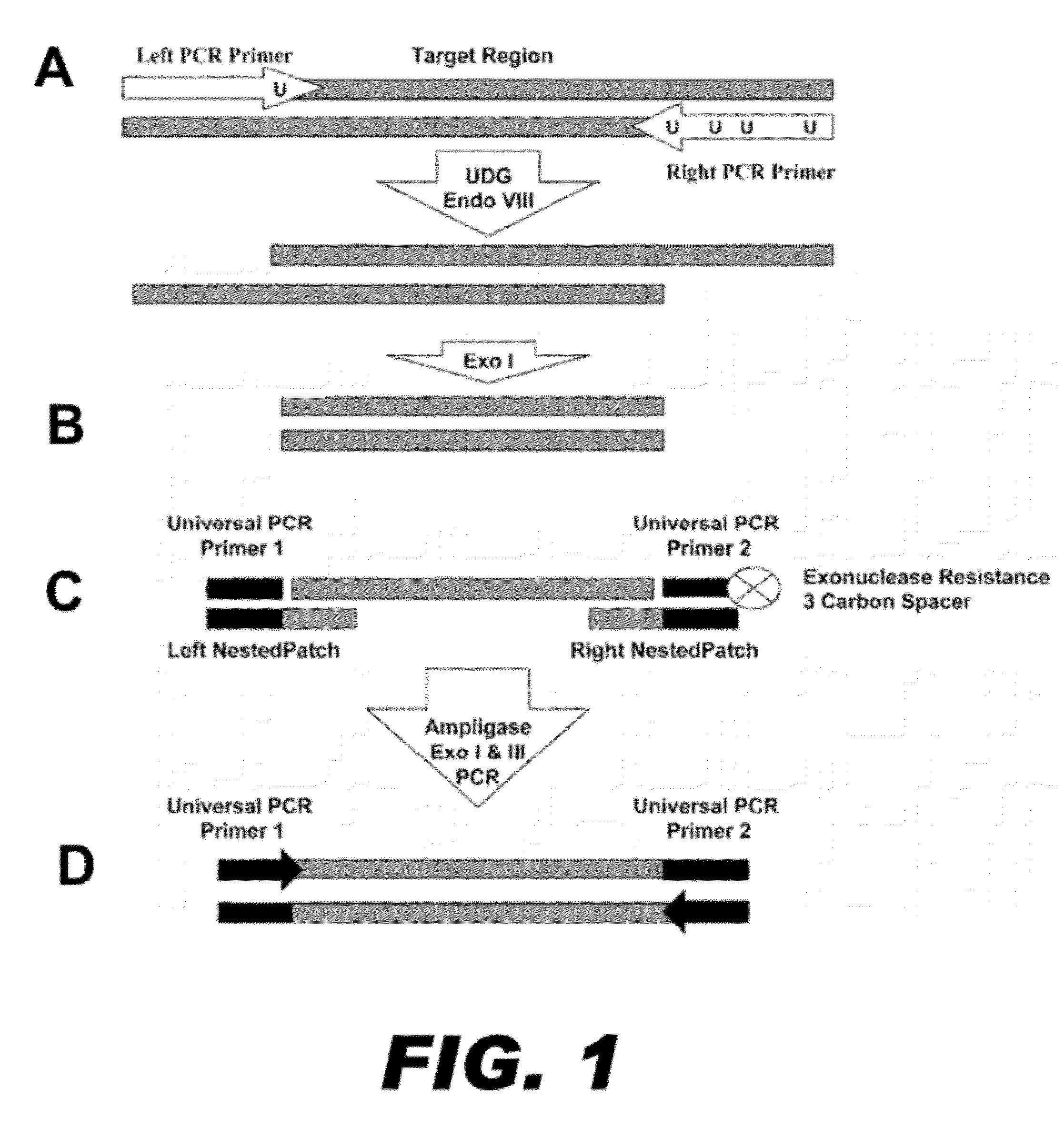 Method for multiplexed nucleic acid patch polymerase chain reaction