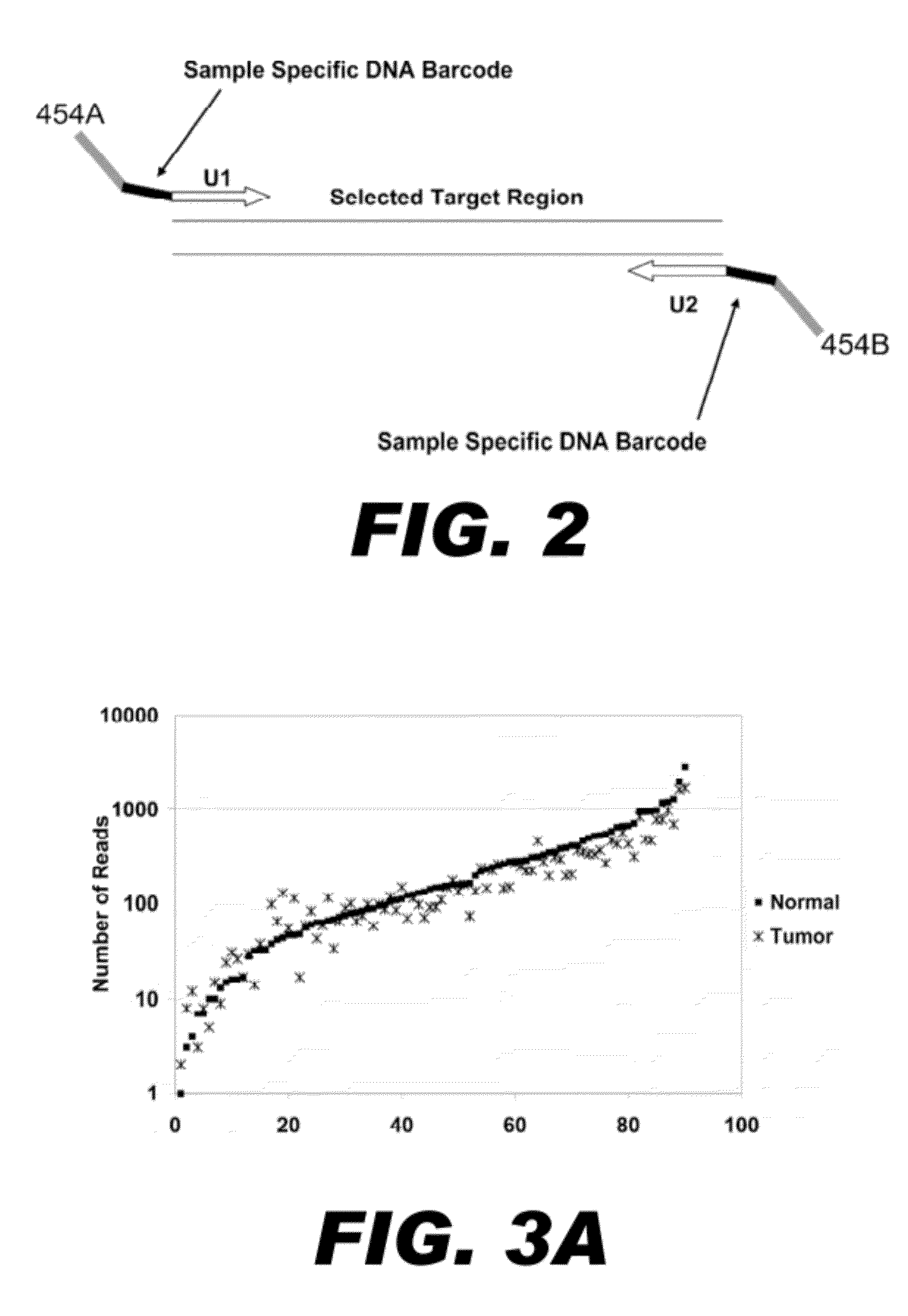 Method for multiplexed nucleic acid patch polymerase chain reaction