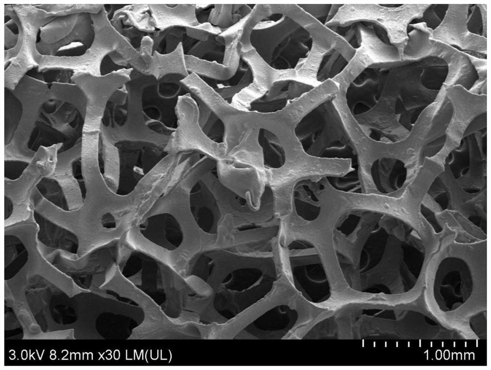 Preparation method of electro-Fenton cathode material based on sludge-based biomass charcoal as well as product and application of electro-Fenton cathode material