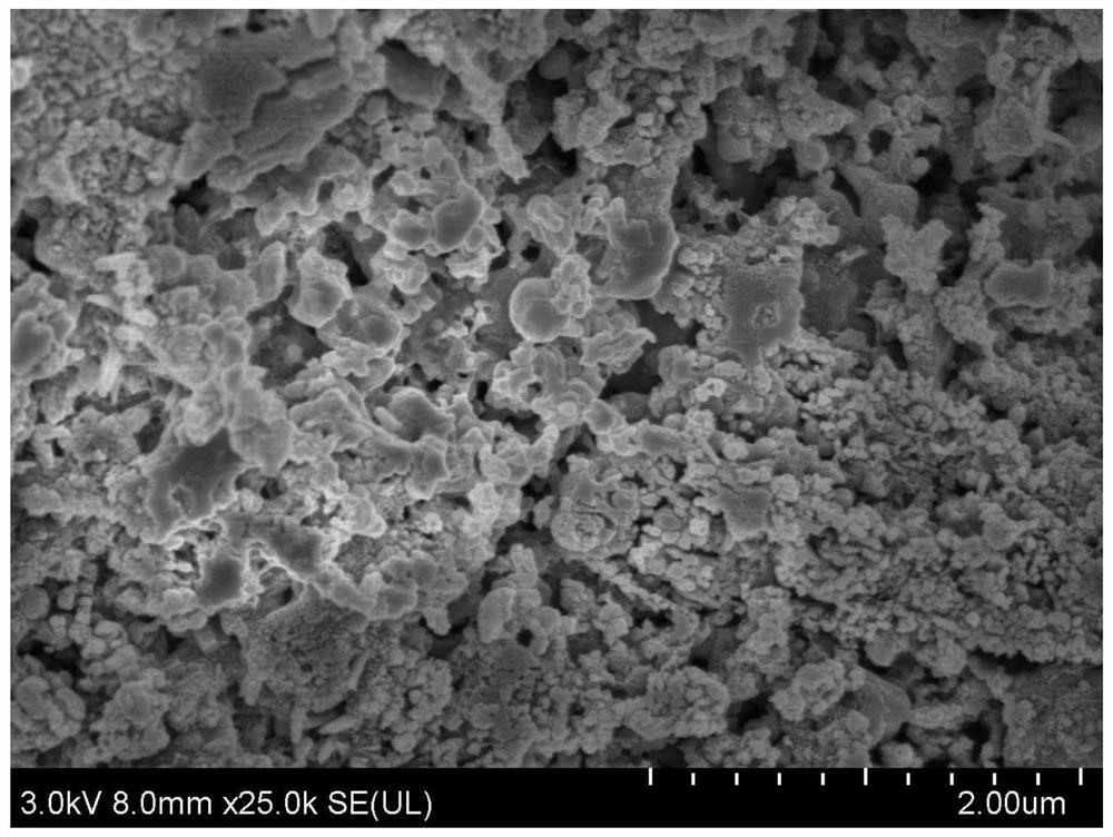 Preparation method of electro-Fenton cathode material based on sludge-based biomass charcoal as well as product and application of electro-Fenton cathode material