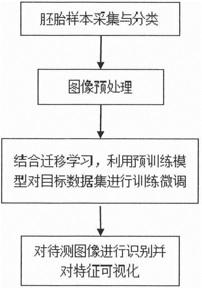 Egg embryo classification based on deep learning