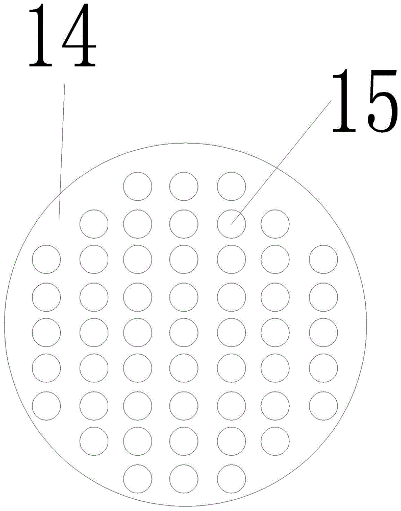 Fish profile measuring device