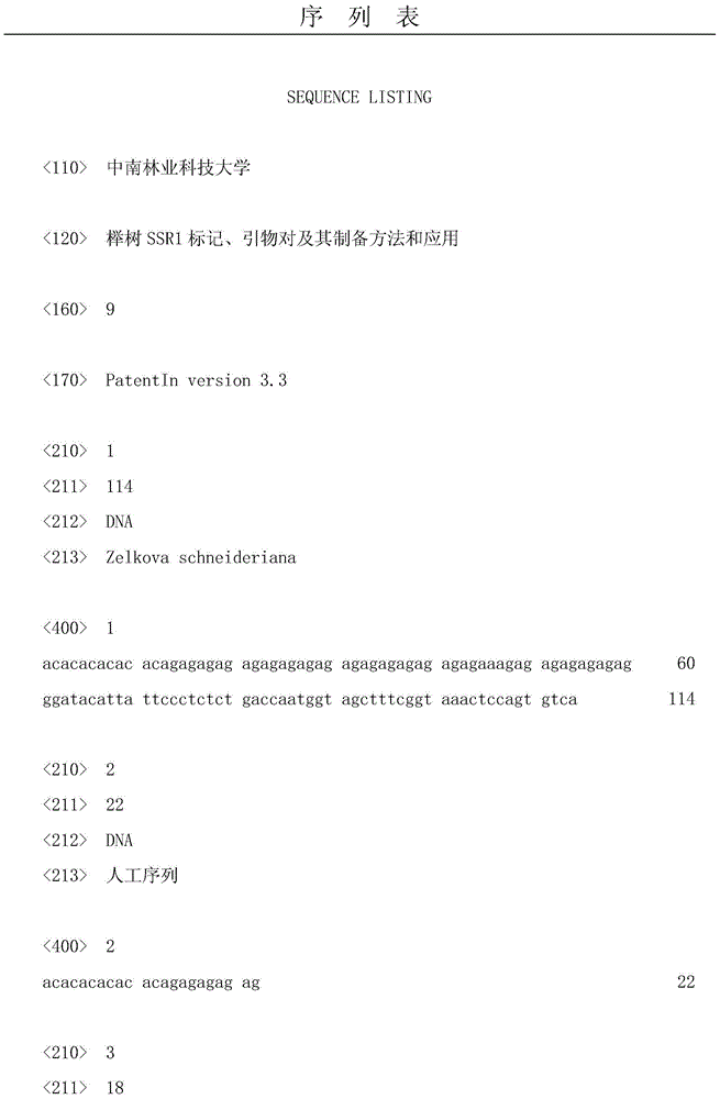 Zelkova SSR1 marker and primer pair and preparation methods and application thereof