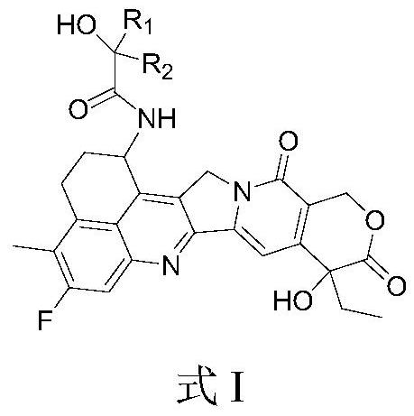 Camptothecin drugs and antibody conjugates thereof