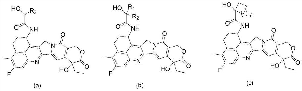 Camptothecin drugs and antibody conjugates thereof