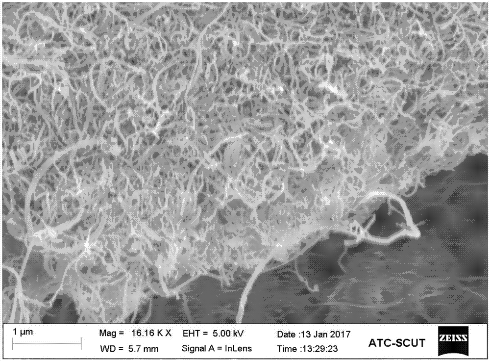 Lignin-based hard carbon/carbon nanotube composite material and preparation method and application thereof in negative electrode materials of lithium ion batteries