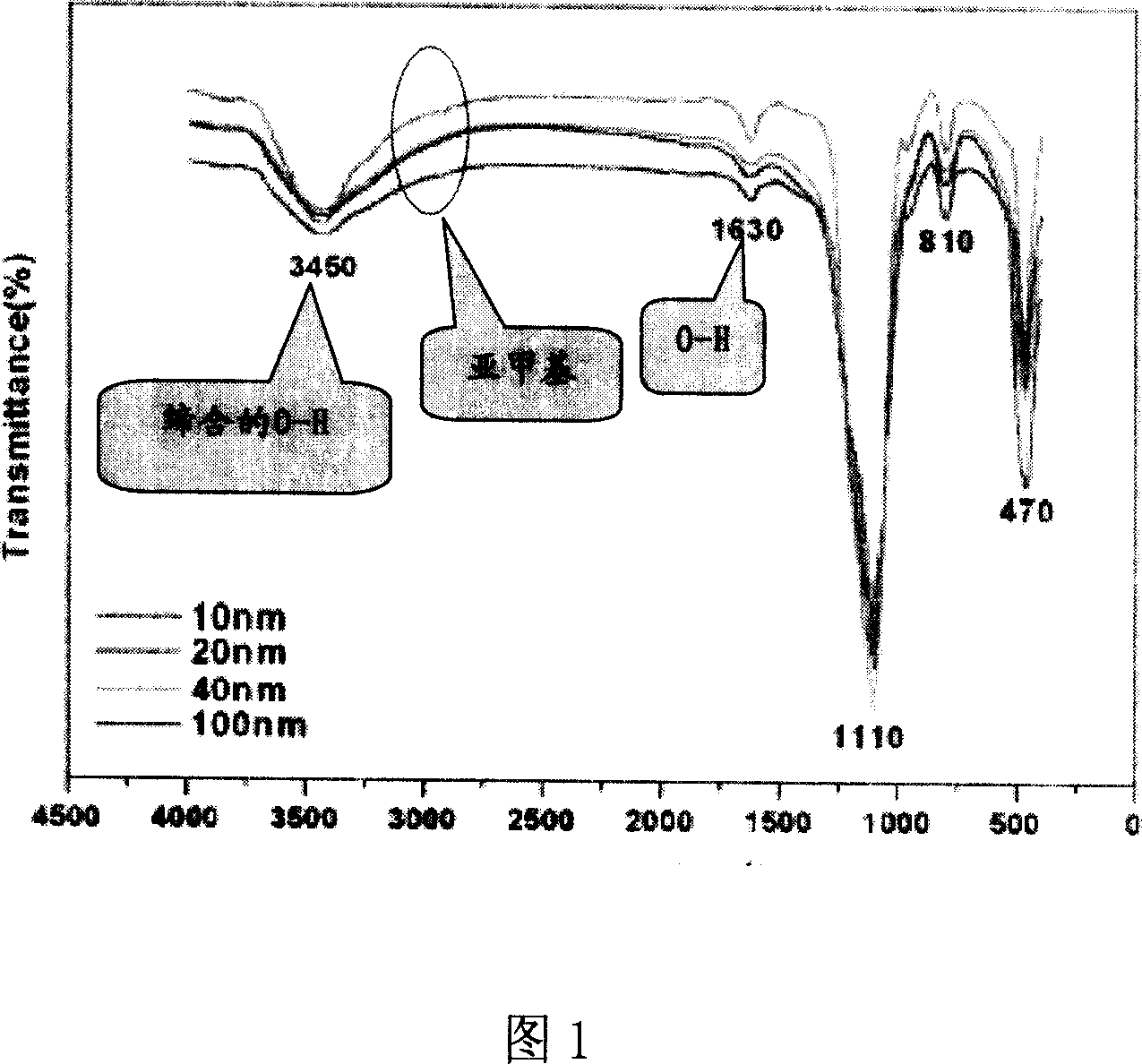 Insulating composite paint of nanometer inorganic matter and polymer and its prepn