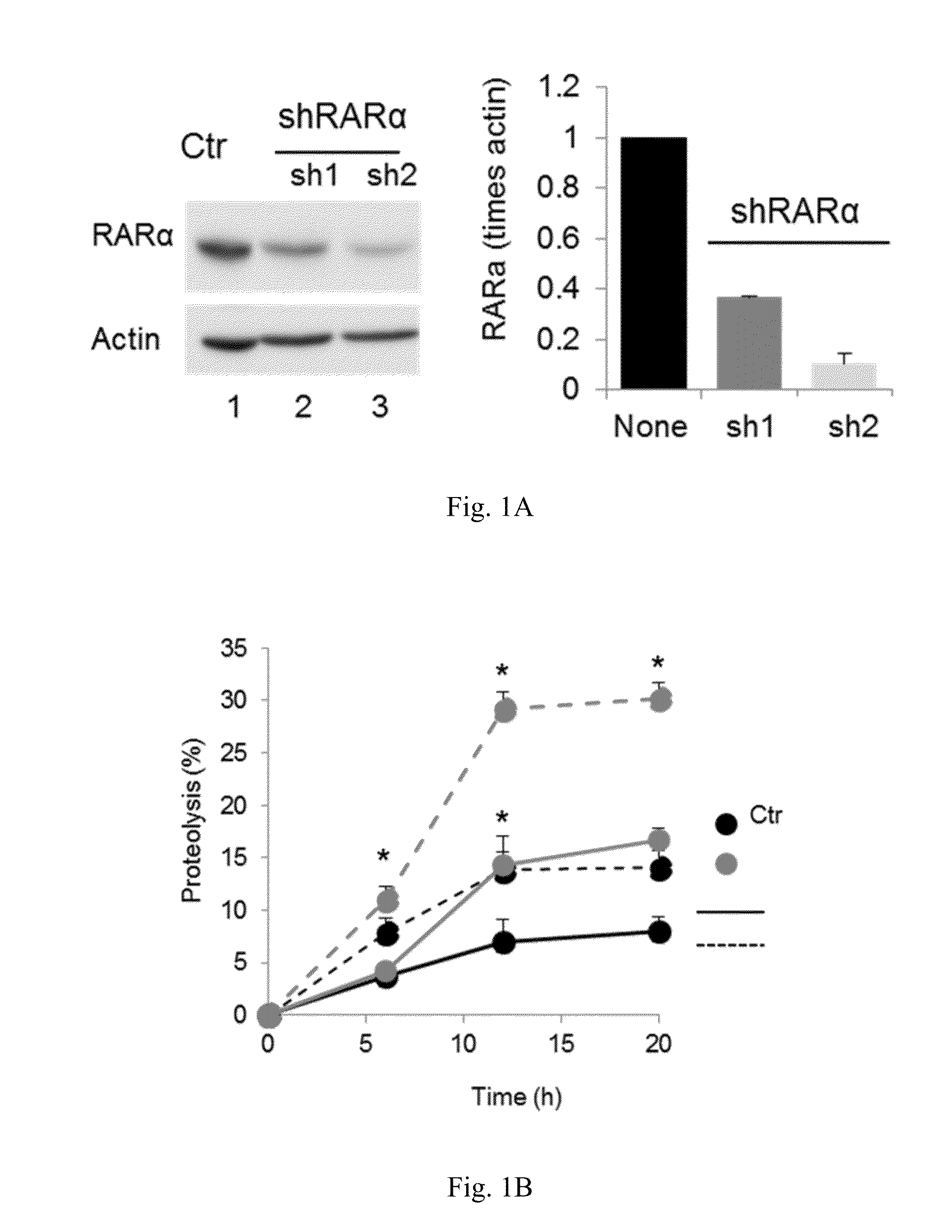 Retinoic acid receptor antagonists as chaperone-mediated autophagy modulators and uses thereof