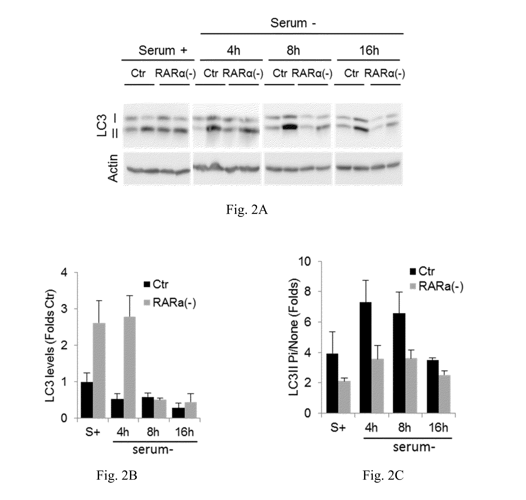 Retinoic acid receptor antagonists as chaperone-mediated autophagy modulators and uses thereof