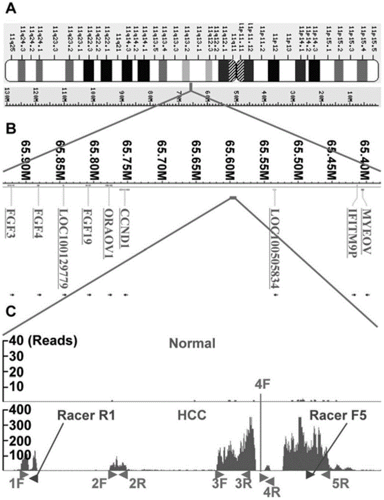 Long chain non-coding RNA (Ribonucleic Acid) gene and application method thereof