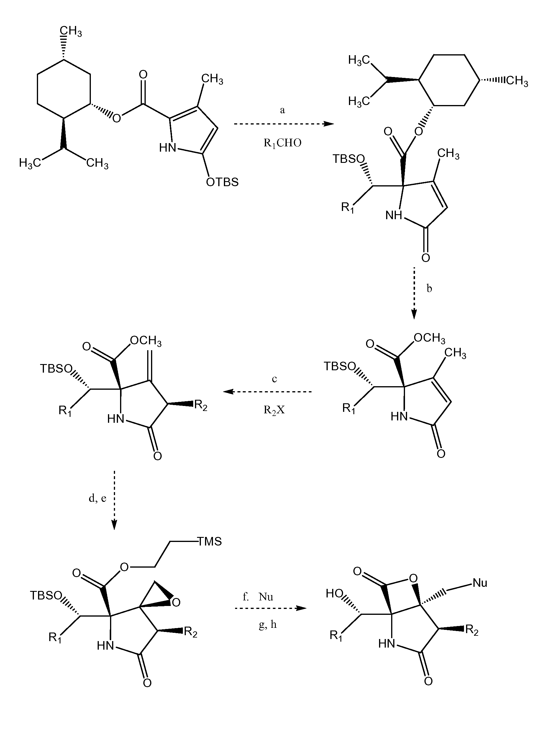 Analogs of salinosporamide a