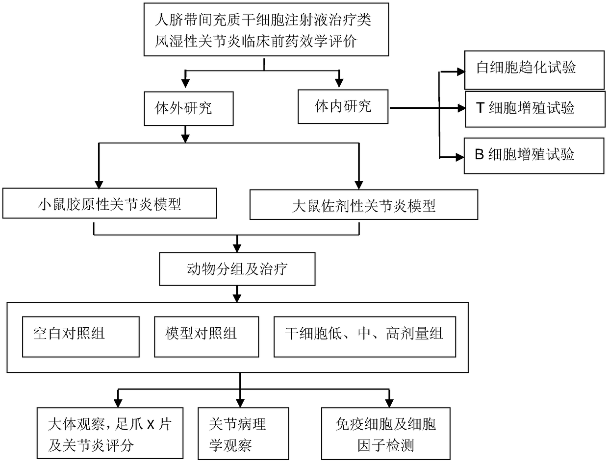 Human umbilical cord mesenchymal stem cell anti-rheumatic arthritis treatment method