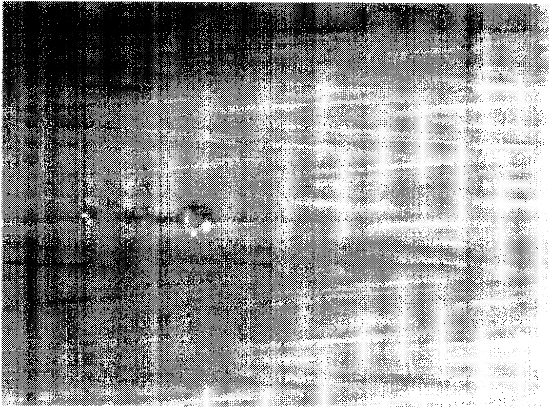 Method for modifying Kevlar fiber by treating nano sol through plasma