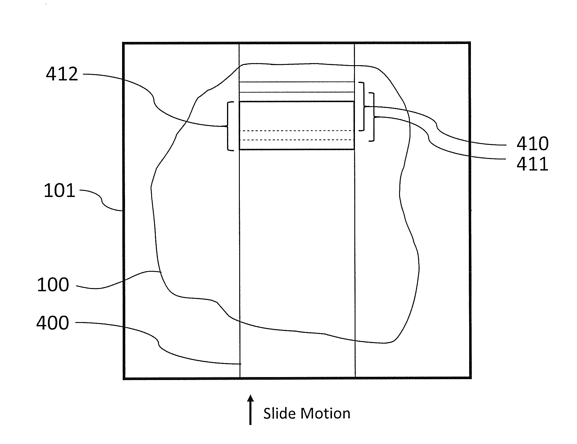 Pathology slide scanners for fluorescence and brightfield imaging and method of operation