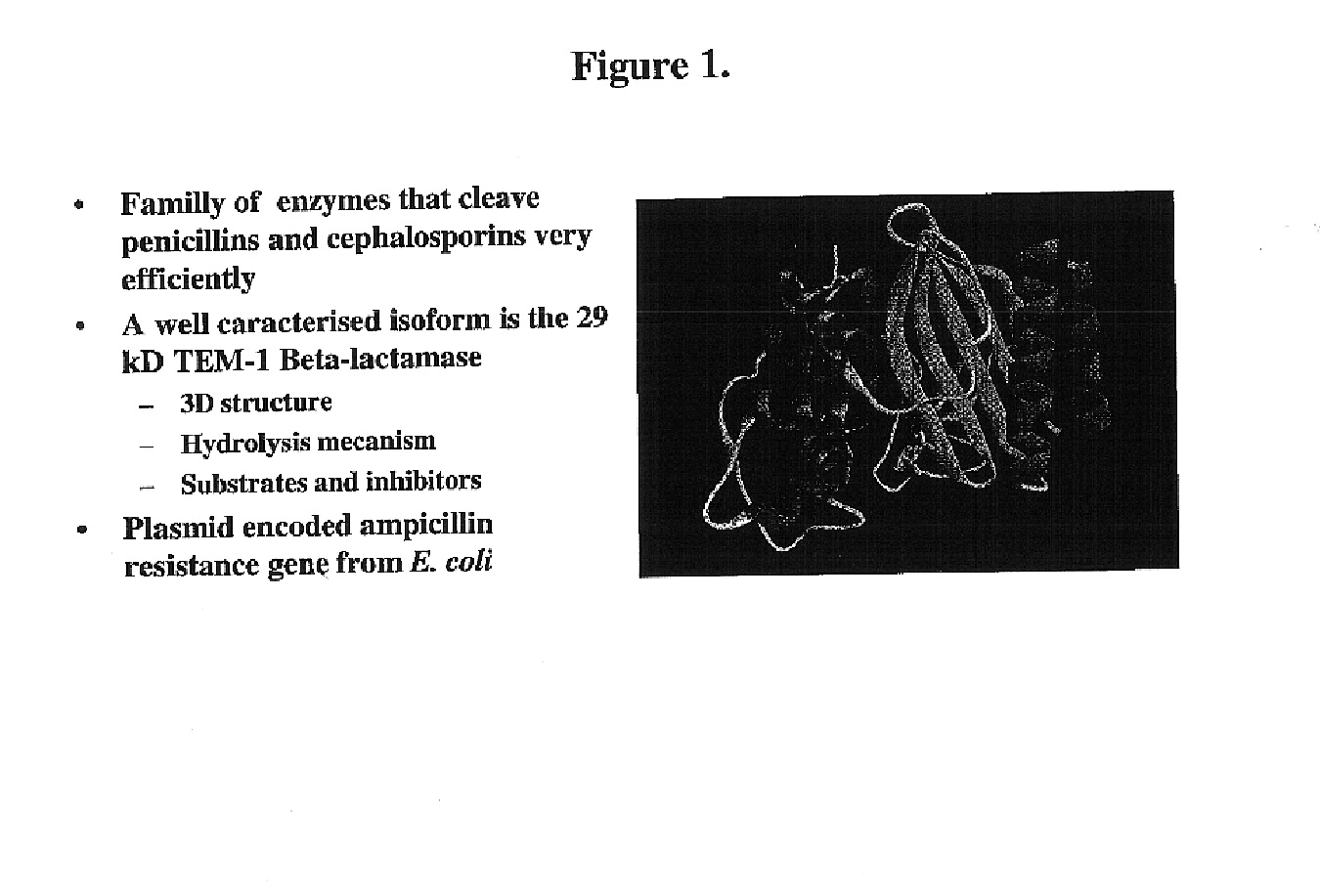 Protein fragment complementation assay (PCA) for the detection of protein-protein, protein-small molecule and protein nucleic acid interactions based on the E. coli TEM-1 beta-Lactamase