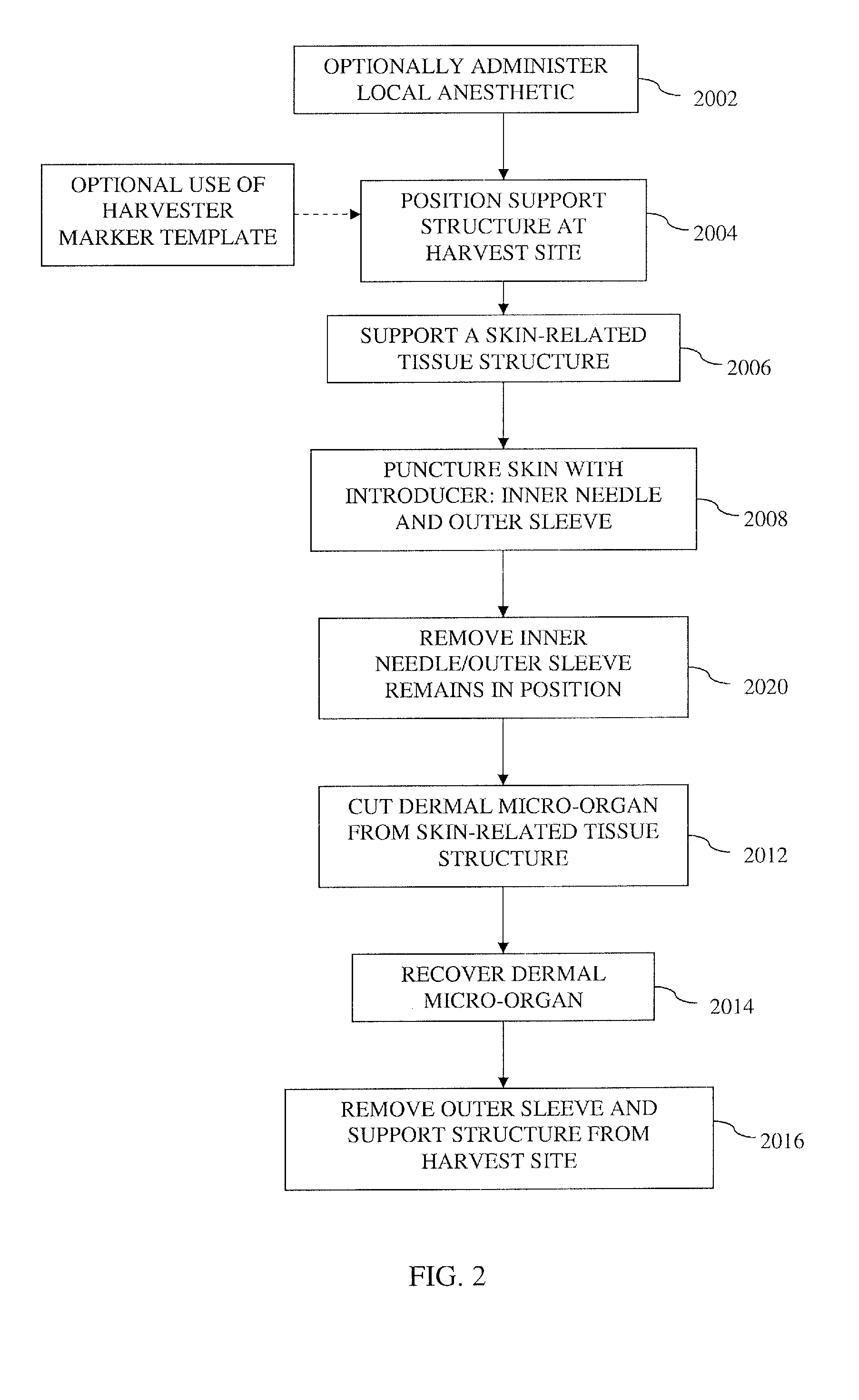 Dermal micro-organs, methods and apparatuses for producing and using the same