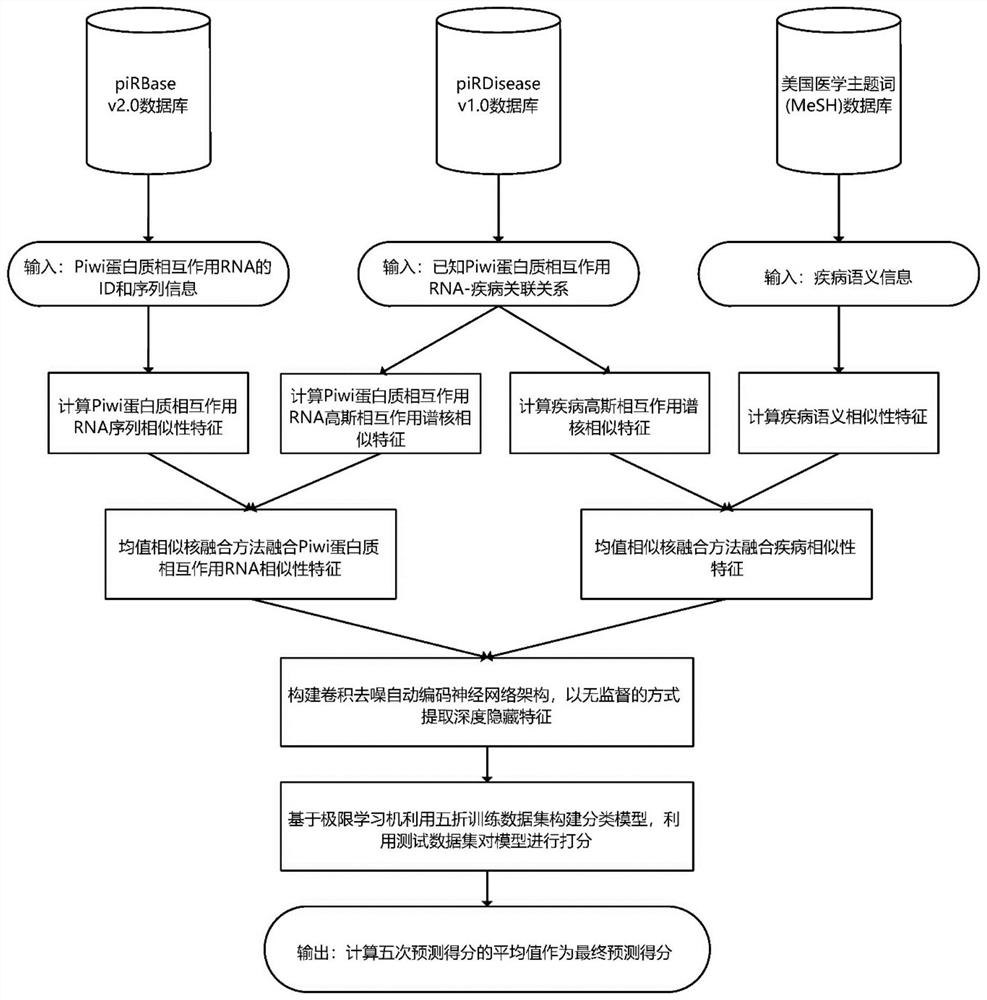 piRNA-disease incidence relation prediction method based on convolution denoising autoencoder