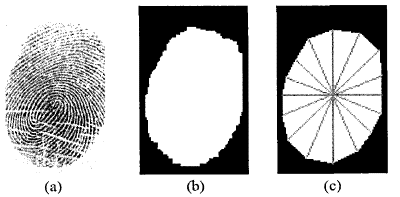 Method and device for acquiring direction of fingerprint