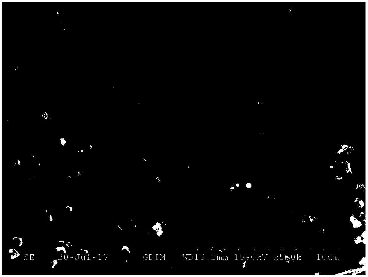 Bio-filler for absorbing and degrading hydrophobic organic waste gases, and preparation method of bio-filler