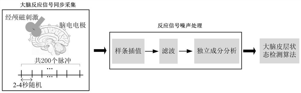 A system and method for detecting the state of cerebral cortex in disorders of consciousness