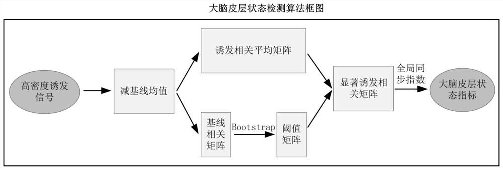 A system and method for detecting the state of cerebral cortex in disorders of consciousness