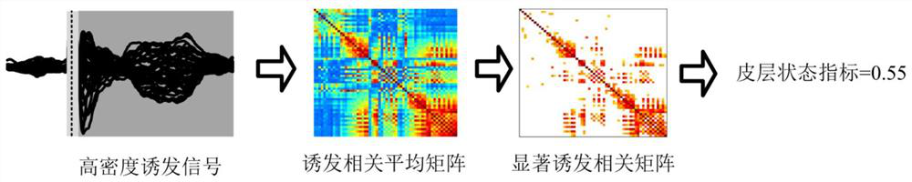 A system and method for detecting the state of cerebral cortex in disorders of consciousness