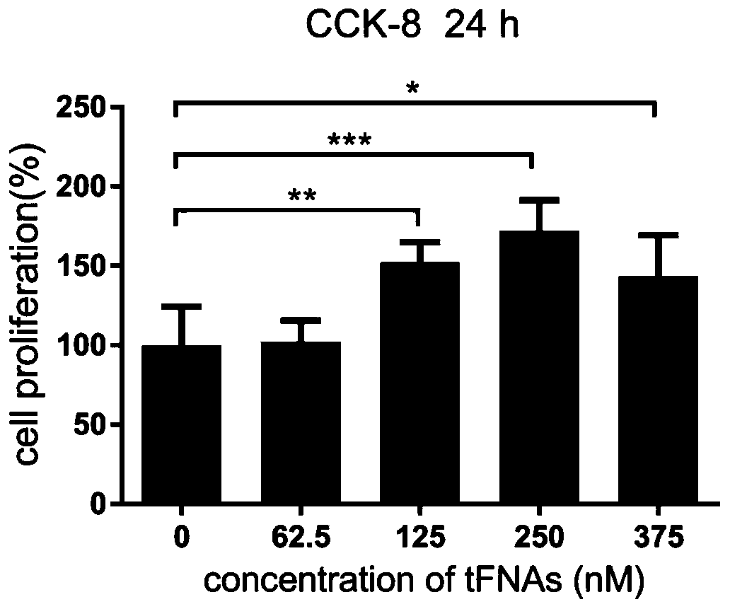 Application of DNA tetrahedron in preparation of drug for promoting myoblast proliferation