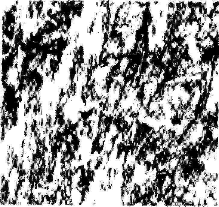 Lyotropic liquid crystal flooding system, as well as preparation method and use thereof