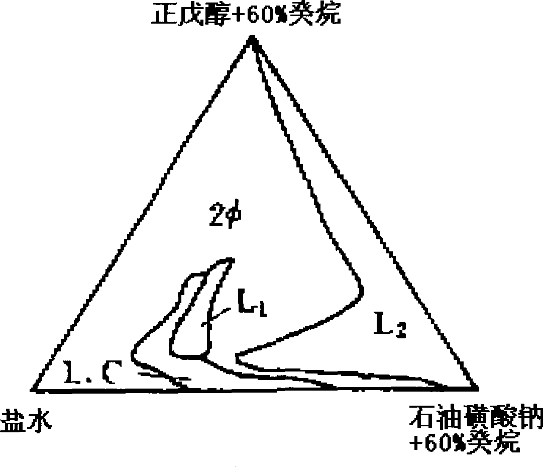 Lyotropic liquid crystal flooding system, as well as preparation method and use thereof